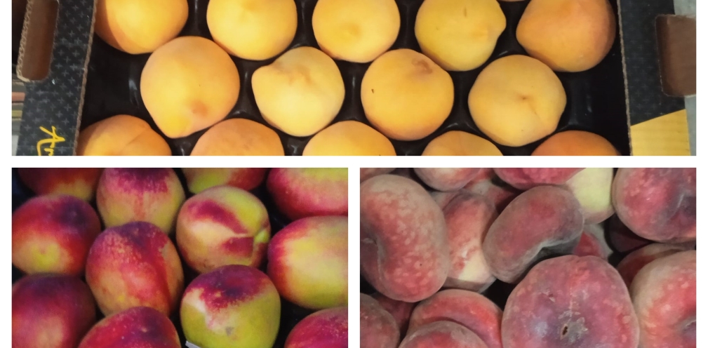 ¡Descubre el sabor del verano con Frutas La Juaida! 